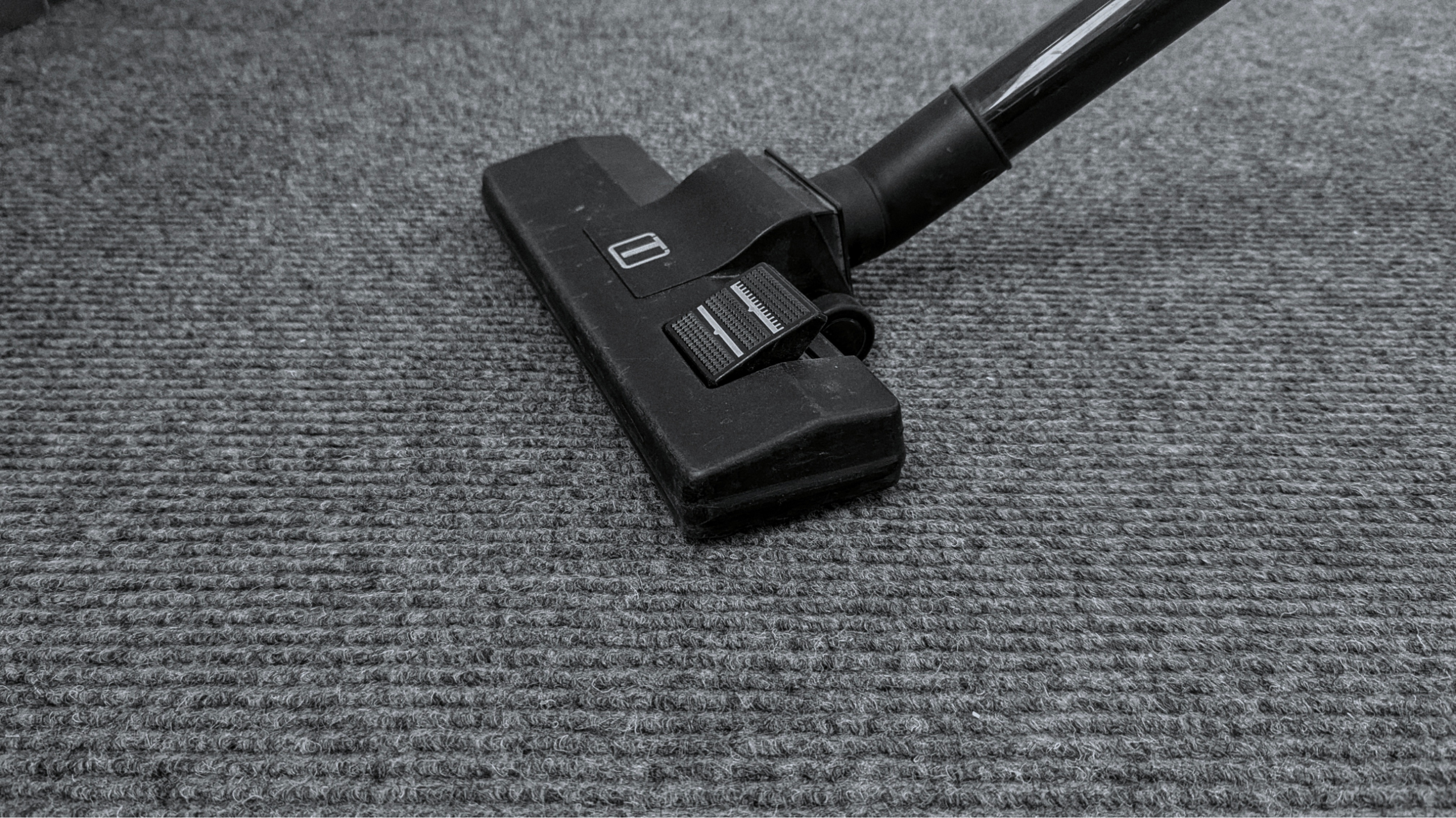 Why And When To Choose Garage Carpet